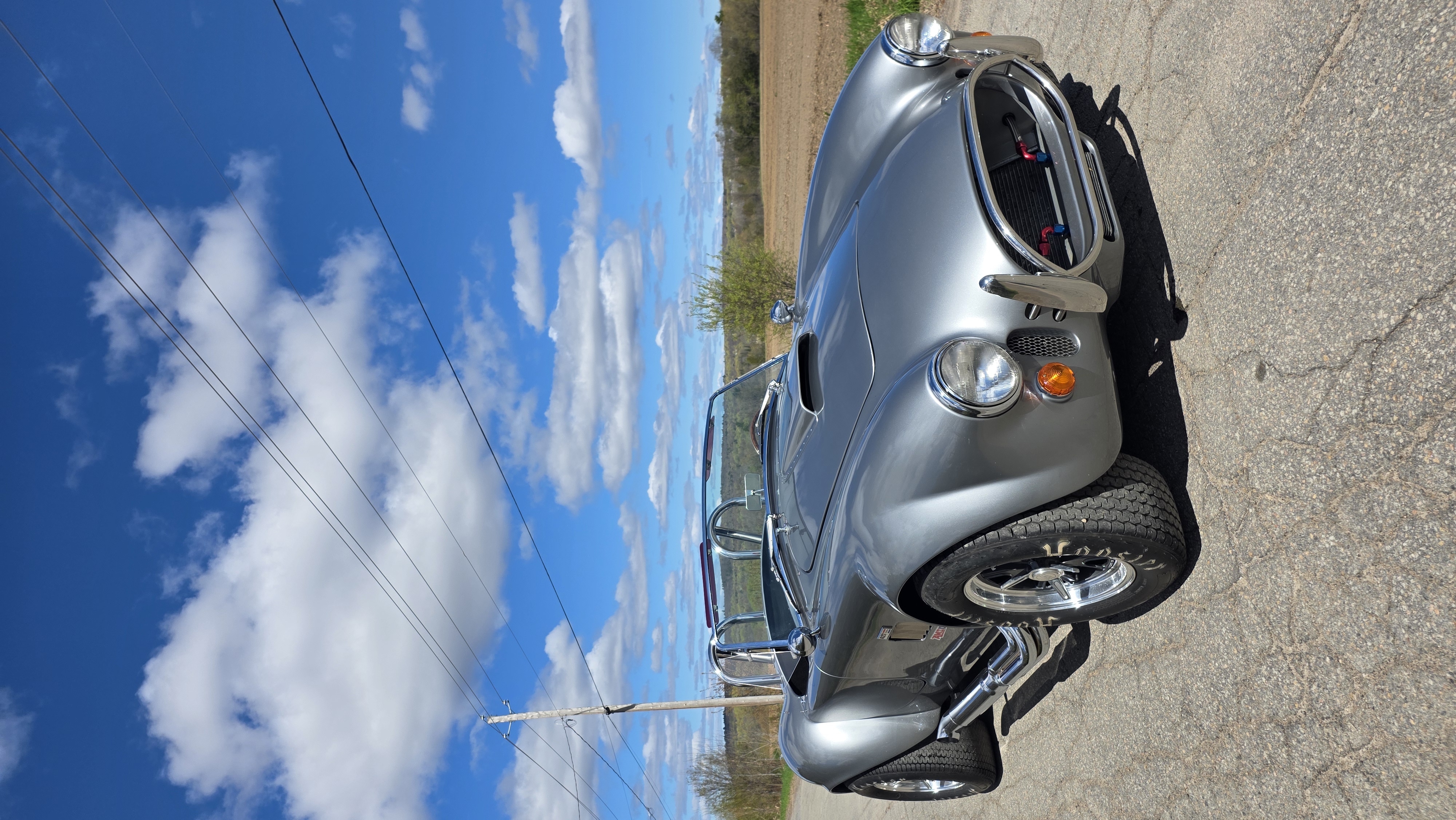 ford Ac Cobras