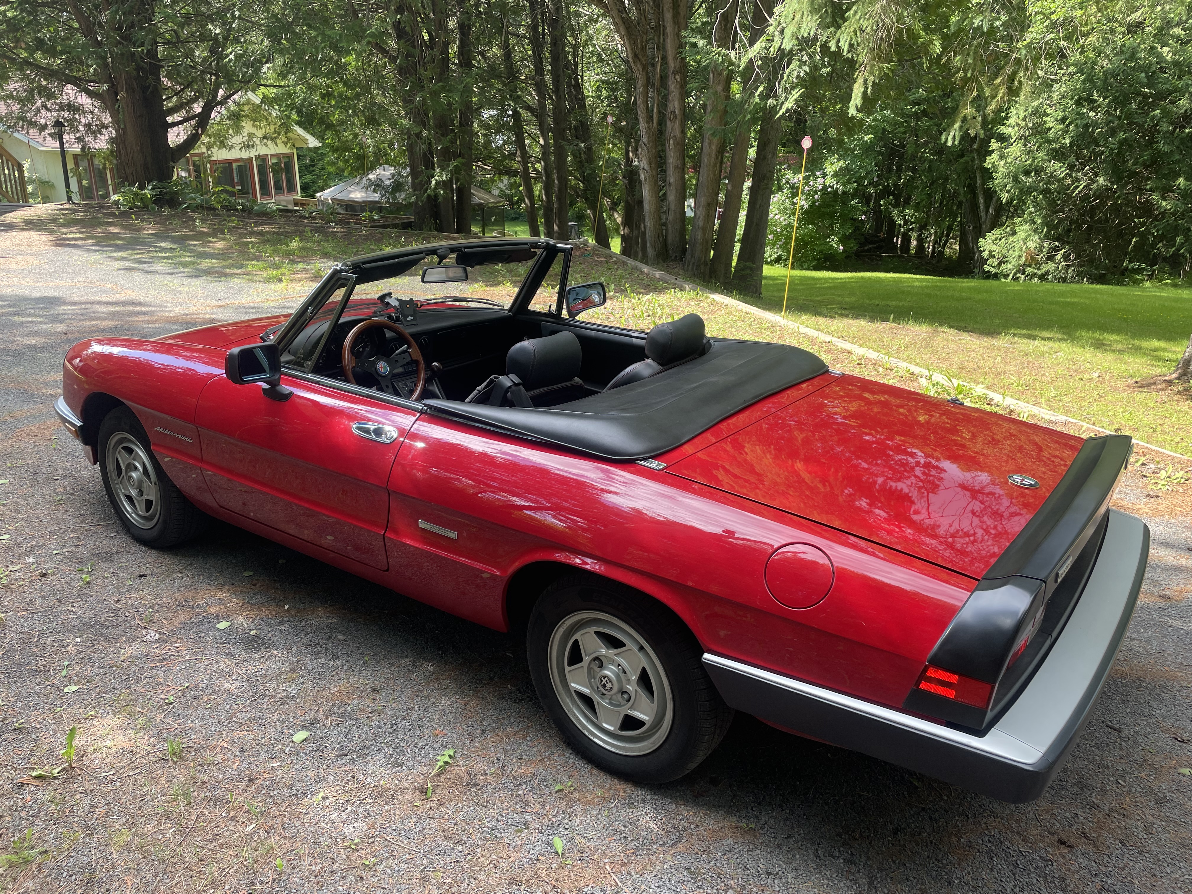 Alfa Rom&eacute;o Spider Veloce
